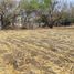  Land for sale in Cuernavaca, Morelos, Cuernavaca