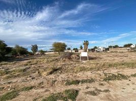 Terrain à vendre à Mexicali, Baja California, Mexicali