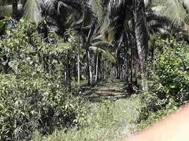  Land for sale in Aborlan, Palawan, Aborlan