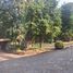 4 Schlafzimmer Villa zu vermieten in Valle De Bravo, Mexico, Valle De Bravo