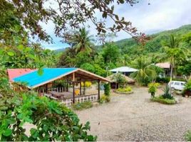  Land for sale in Puerto Princesa City, Mimaropa, Puerto Princesa City, Palawan, Mimaropa
