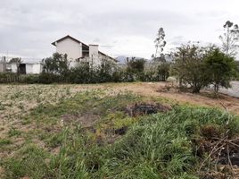  Terrain for sale in Malchingui, Pedro Moncayo, Malchingui