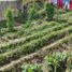  Grundstück zu verkaufen in Conocoto, Pichincha, Conocoto