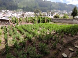  Grundstück zu verkaufen in Conocoto, Pichincha, Conocoto