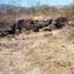  Land for sale in Morelia, Michoacan, Morelia, Michoacan