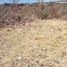  Land for sale in Morelia, Michoacan, Morelia, Michoacan