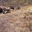 Land for sale in Morelia, Michoacan, Morelia, Michoacan