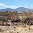 Land for sale in Morelia, Michoacan, Morelia