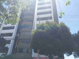 3 chambre Appartement for sale in Cumbaya, Quito, Cumbaya