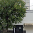 Villa 4 chambre à vendre à Gustavo A Madero, Mexico City, Gustavo A Madero