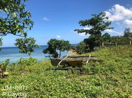  Land for sale in San Remigio, Cebu, San Remigio