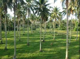  Land for sale in Daraga, Albay, Daraga