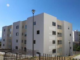 Appartement 2 chambre à louer à Queretaro, Queretaro, Queretaro, Queretaro