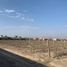  Terreno (Parcela) en venta en Alto Laran, Chincha, Alto Laran