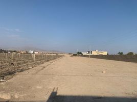  Terreno (Parcela) en venta en Alto Laran, Chincha, Alto Laran