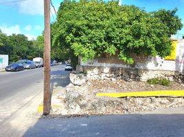 Terrain à vendre à Isla Mujeres, Quintana Roo, Isla Mujeres