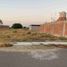  Terreno (Parcela) en venta en Castilla, Piura, Castilla, Piura, Piura