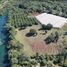  Land for sale in Axtla De Terrazas, San Luis Potosi, Axtla De Terrazas