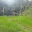  Villa zu verkaufen in Cocorna, Antioquia, Cocorna