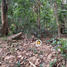 Terrain à vendre à Antipolo City, Calabarzon, Antipolo City, Rizal