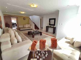 3 chambre Villa for sale in Cumbaya, Quito, Cumbaya