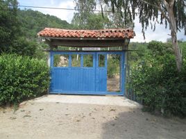  Terrain for sale in Quinta de San Pedro Alejandrino, Santa Marta, Santa Marta