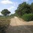  Terrain for sale in Quinta de San Pedro Alejandrino, Santa Marta, Santa Marta