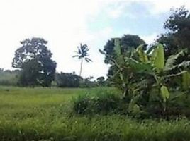  Land for sale in Cavite, Calabarzon, Tagaytay City, Cavite