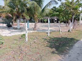  Grundstück zu verkaufen in Othon P Blanco, Quintana Roo, Othon P Blanco