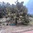  Terreno (Parcela) en venta en Zapopan, Jalisco, Zapopan, Jalisco