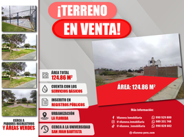  Terreno (Parcela) en venta en Ica, Subtanjalla, Ica, Ica