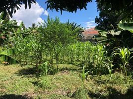  Land for sale in Las Lajas, Chame, Las Lajas