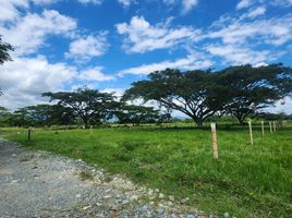  Terreno (Parcela) en venta en Tulua, Valle Del Cauca, Tulua