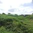  Land for sale in Mandaue City, Cebu, Mandaue City