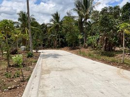  Terreno (Parcela) en venta en Indang, Cavite, Indang