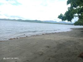  Grundstück zu verkaufen in Palawan, Mimaropa, Quezon