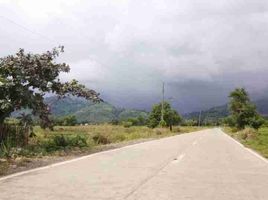  Land for sale in Narra, Palawan, Narra