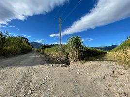  Terrain for sale in Catamayo La Toma, Catamayo, Catamayo La Toma