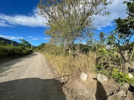  Grundstück zu verkaufen in Catamayo, Loja, Catamayo La Toma