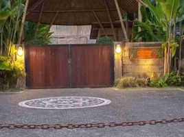 2 chambre Villa for sale in Buleleng, Bali, Sukasada, Buleleng