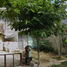 在Quintana Roo出售的2 卧室 屋, Cozumel, Quintana Roo