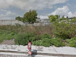  Land for sale in Zapotitlan, Puebla, Zapotitlan