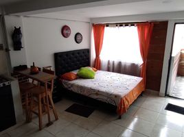 1 Bedroom Apartment for rent in Bare Foot Park (Parque de los Pies Descalzos), Medellin, Medellin