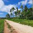  Terrain for sale in Davao del Norte, Davao, Island Garden Samal City, Davao del Norte