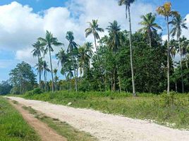  Terrain for sale in Davao del Norte, Davao, Island Garden Samal City, Davao del Norte