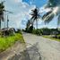  Land for sale in Pili, Bicol, Pili, Camarines Sur