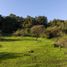  Terreno (Parcela) en venta en Chile, Litueche, Cardenal Caro, Libertador General Bernardo O'Higgins, Chile
