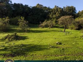  Terreno (Parcela) en venta en Chile, Litueche, Cardenal Caro, Libertador General Bernardo O'Higgins, Chile