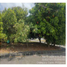  Land for sale in General Trias City, Calabarzon, General Trias City