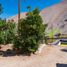  Terreno (Parcela) en venta en Coquimbo, Vicuna, Elqui, Coquimbo
